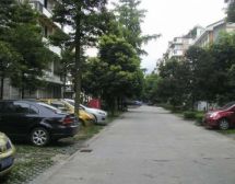 梧桐花园3室2厅东南