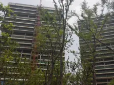 509平,两梯一户,价格有惊喜,让你相信爱情的好房子