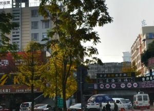 金沙时代生活广场1室1厅南