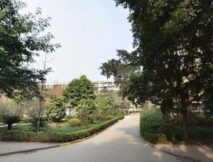 陵川社区2室1厅南