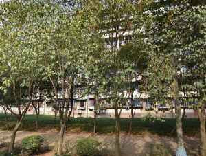 陵川社区3室2厅南