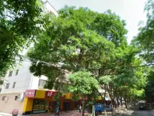 盘旋路十字,宁卧庄,小区停车方便,出门就是地铁