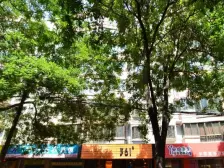 兰大盘旋路地铁A口地震局家属院宁卧庄 3室电梯房