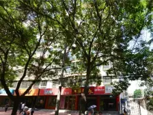 盘旋路 宁卧庄 科中 四室两厅大户型 电梯高层