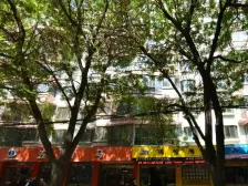 盘旋路十字,地铁口,高层电梯房,四室大平层视野开阔