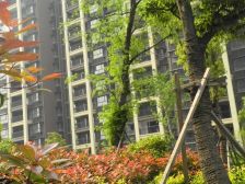 北大街两房精装修未入住拎包安排