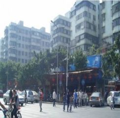 陈丰村9室9厅南