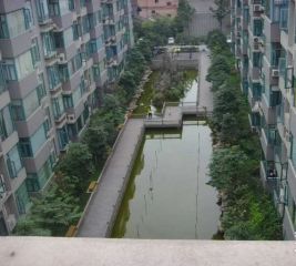 双兴名邸四季春天 3室2厅 东南