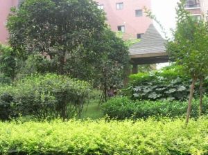 雅舍河畔3室2厅西