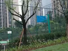 东原D7一期 1室1厅 南