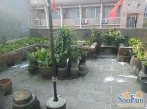 低楼层大户型三房,全新装修,格局方正,配套齐!