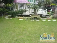 一线江景别墅 南向单边位 视野开阔