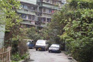 清溪南街20号 2室1厅 南