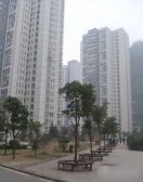 滨湖惠园边户方正两房通透户型好无欠款不占用
