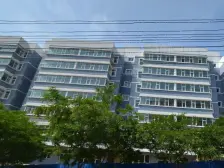 九州 金利花园五号区 两室一厅 户型方正 诚心出售