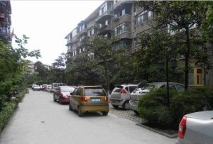 育才路27号 2室1厅 东南