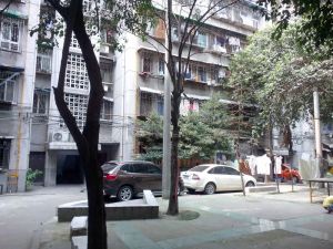天府南苑2室1厅东南