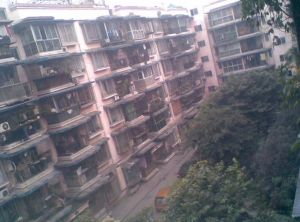 群康路49号2室2厅东北
