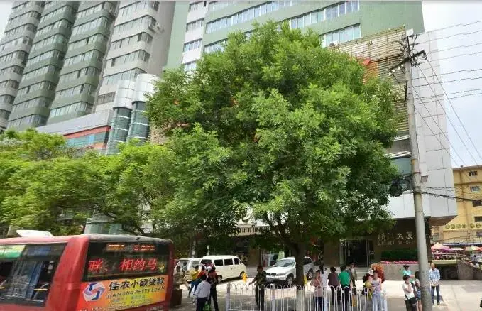 桥门大厦