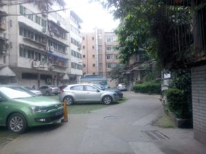 新能巷1号3室1厅南北