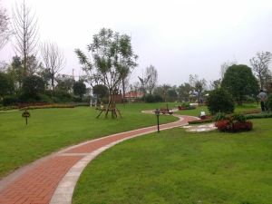 幸福海岸4室2厅东南