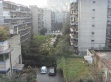 澄江街5号 2室1厅 东 西