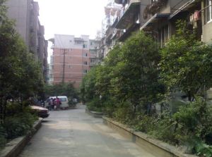 交桂二巷21号院3室2厅东南