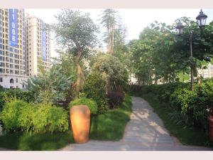 九龙湾花园 精装三房 保养新净 全屋明亮 交易方便