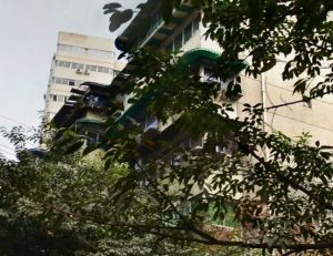 金鱼街72号2室1厅东南