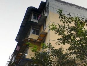 金鱼街72号3室2厅南