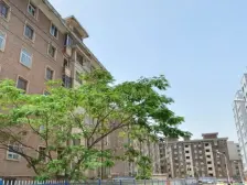 此房满五唯一,钻石楼层,南北通透,采光好