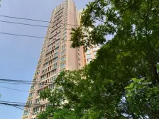 主干道旁 经典户型 视野开阔采光佳 环境优美