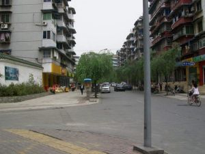 树蓓街106号3室1厅东南