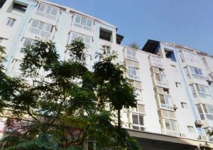 桂湖河畔一期 2室1厅 南