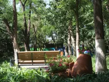 仁恒美林郡 2室2厅 东南