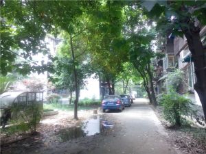 菊乐路98号1室2厅南