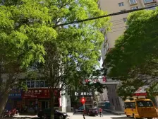 兰州老街旁 西津西路 主干道 惠苑小区 通透两室