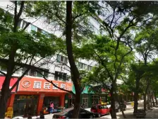 曦华源旁 低楼层 南北通透低总价好房