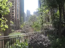 梧桐公馆 1室1厅 西北