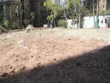 梧桐公馆 2室1厅 西