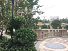 大平层 纯毛坯 景观房 全天采光 看房方便