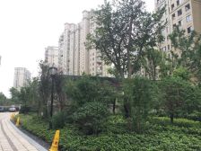 小区大平层户型 外地购房诚心出售 有产权车位。。。