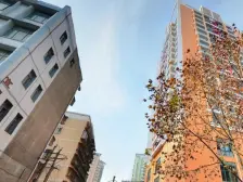 星苑 143平 大四房 户型好 交通便利