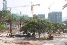 中信红树湾北区精装大4房3个阳台,双套间,高层看河景