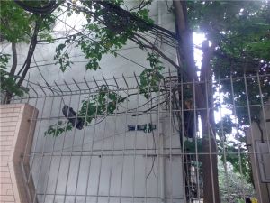 梧桐苑3室1厅东南