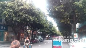 上南街57号3室1厅南