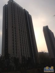 精装修,楼层好,家具家电齐全,拎包入住