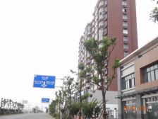启东城东花园 3室2厅 南