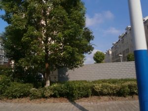 安东小区,飞机户型楼层好采光充足