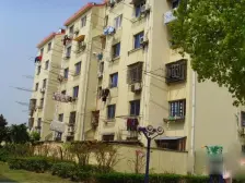 店长推荐!带20平大院子,户型正气